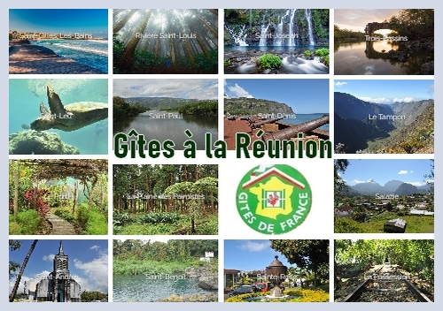 reduction ce reunion